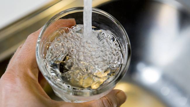 Nitrat i gröna bladgrönsaker blir giftigt nitrit