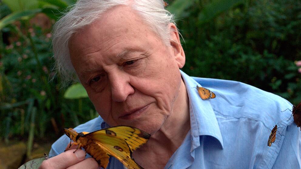 Foto: Mark Lobatto David Attenborough