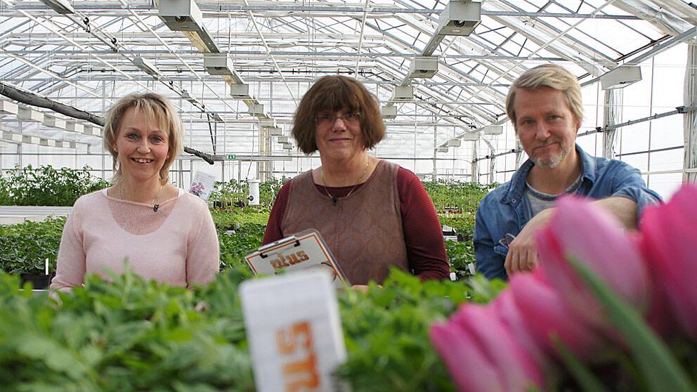 Foto: SVT Plus expertpanel till plantjordstestet. Ylva Landerholm, trädgårdsexpert i God morgon Sverige, Jonas Berring, trädgårdsentusiast och Sonja Marklund, hortonom och före detta trädgårdslärare.