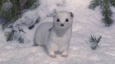 Foto: BBC Snövessla
