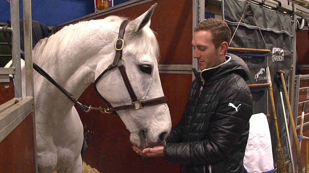 Foto: SVT Daniel Zetterman och hästen Glory Days.