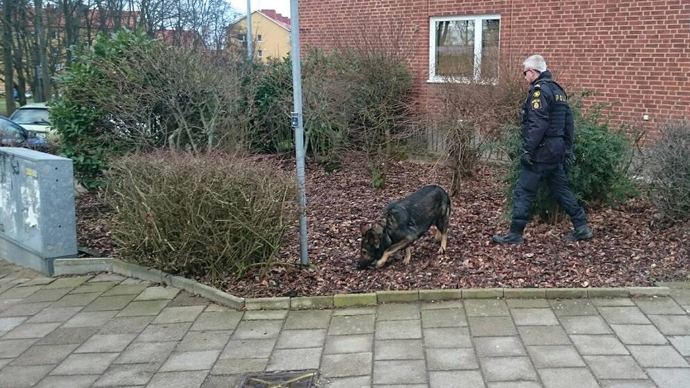 mord helsingborg mord helsingborg