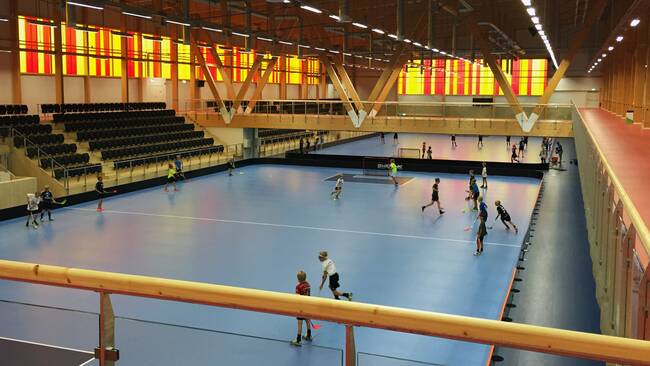 IFU arena mindre