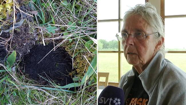 erotiska tjänster gbg erotiska klipp erotiska tjänster gbg erotiska klipp