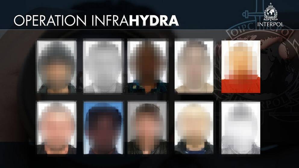 infrahydra-jpg