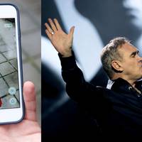 Morrissey utvecklar djurrättsspel