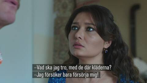 förväxlingen alla avsnitt förväxlingen alla avsnitt