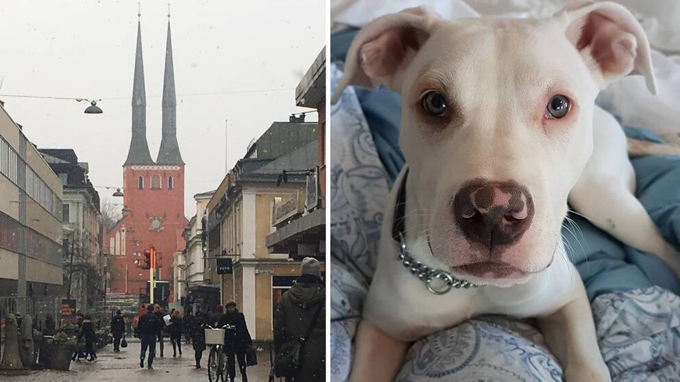 utanför affär sex i Göteborg utanför affär sex i Göteborg