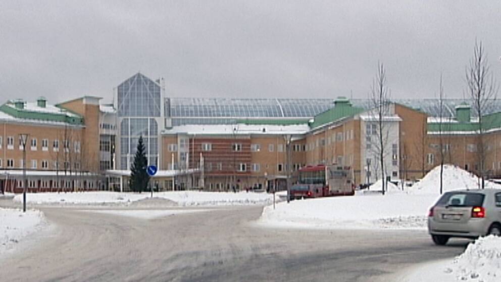 svt luleå svt luleå