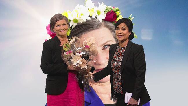 drömhuset svt drömhuset svt