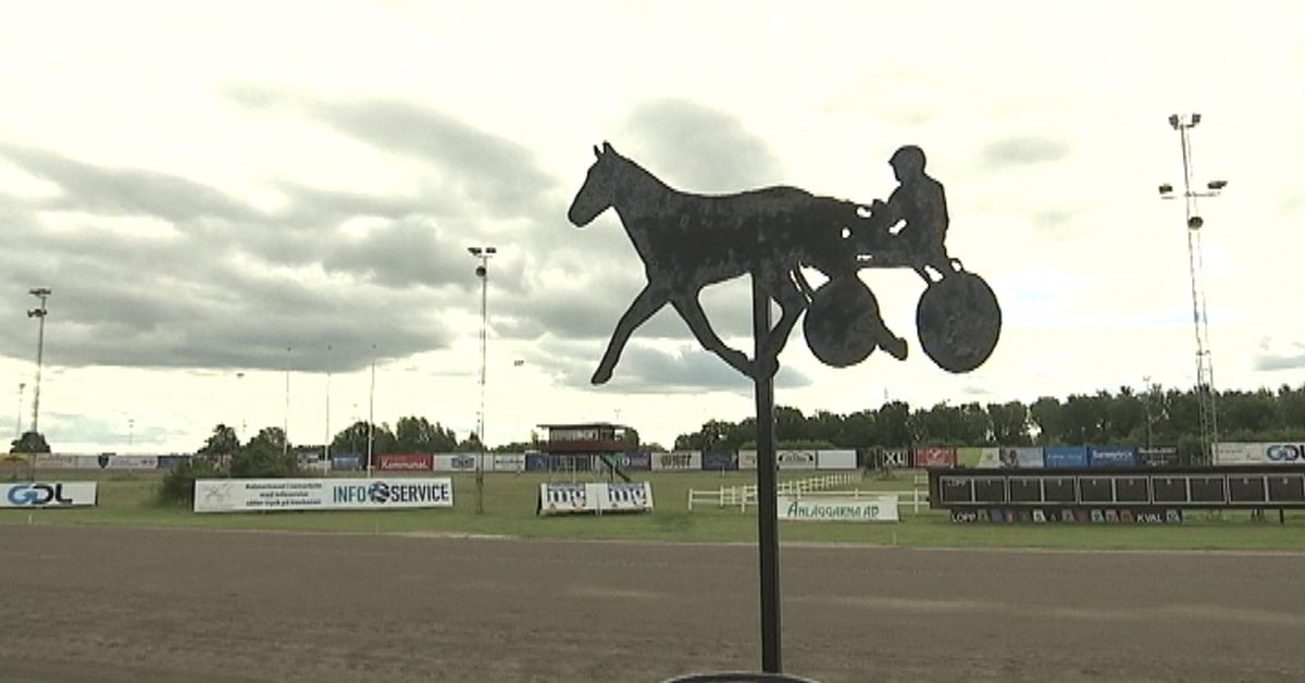 Travprofil Hade Sex Med H St Blev Utpressad P En Halv Miljon Svt Nyheter