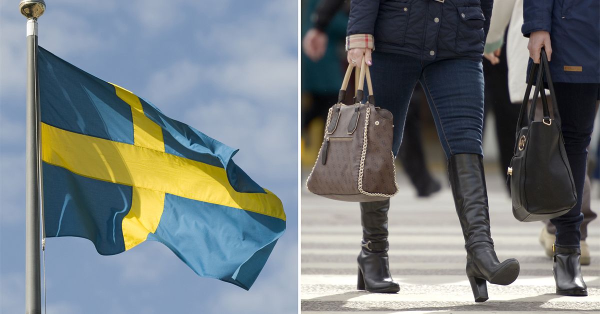 Bara sex länder i världen är jämställda Sverige är ett av dem SVT Nyheter