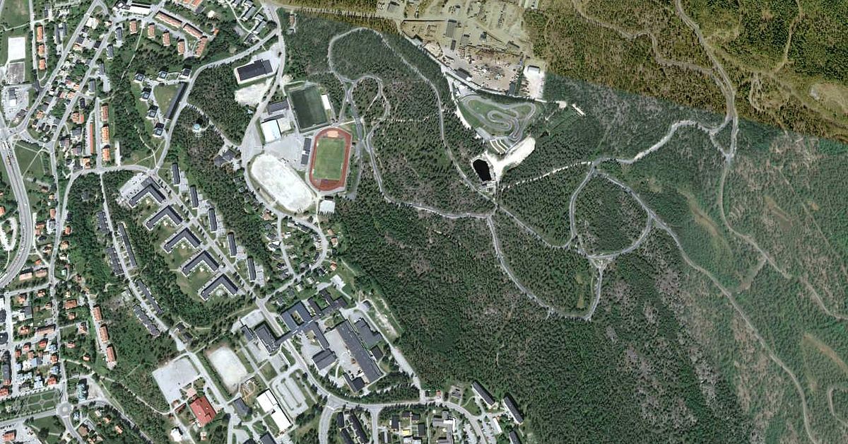 Ring Man Frias Fr N Grov V Ldt Kt I Rnsk Ldsvik D Ms F R Misshandel Och Olaga Hot Svt