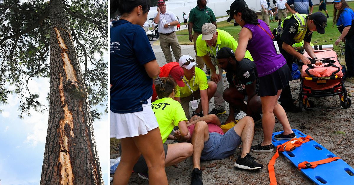 Golf Sex åskådare skadade efter blixtnedslag mot PGA tävlingen i Atlanta SVT Sport