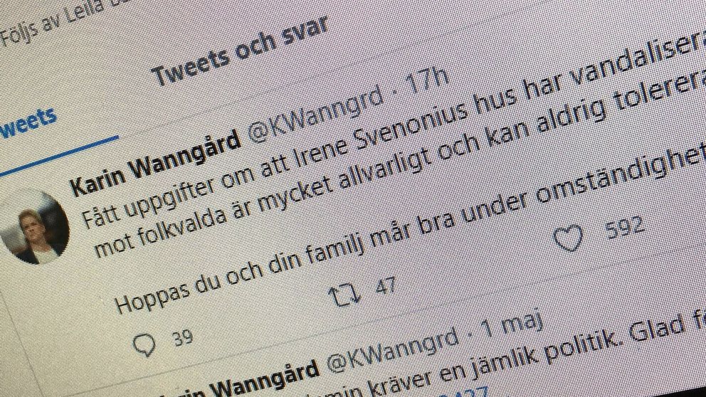 Hadzialic S Ett Hot Mot Demokratin SVT Nyheter