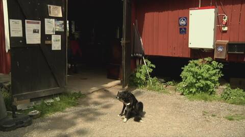 svt bondgården svt bondgården