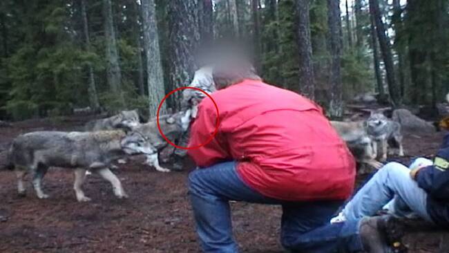 Problem som går en judisk flicka en ortodox