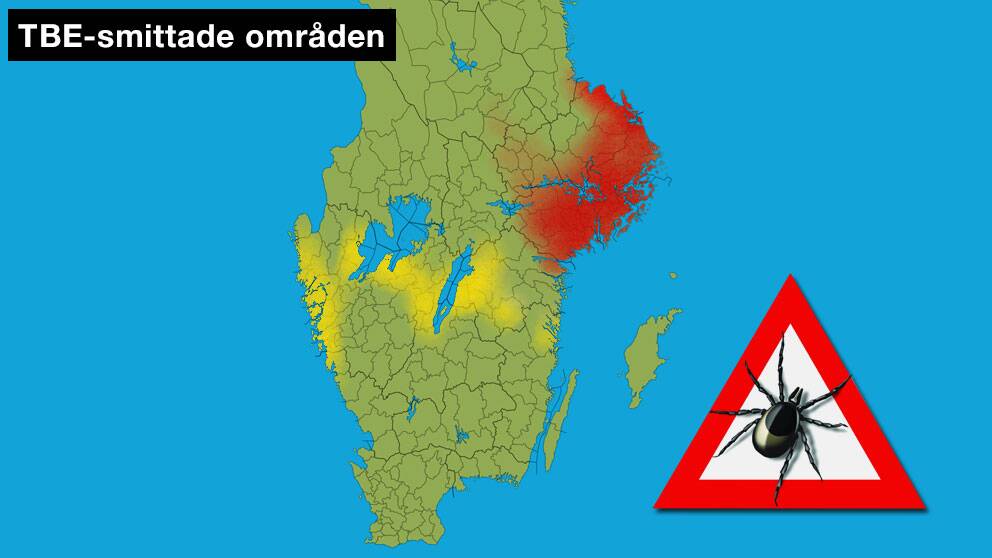 Kartor ska varna för TBE | SVT Nyheter