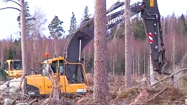 grävskopan grävskopan
