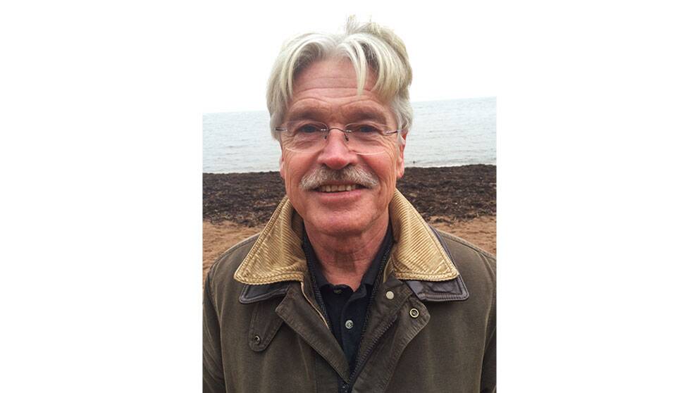 kalle anka svt play kalle anka svt play