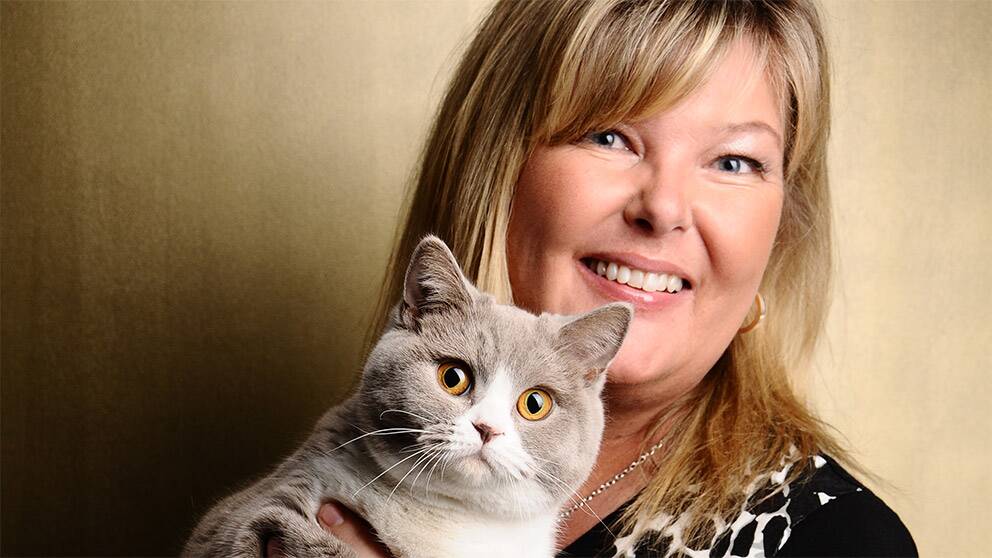 katt fäller mycket hår mjäll katt fäller mycket hår mjäll