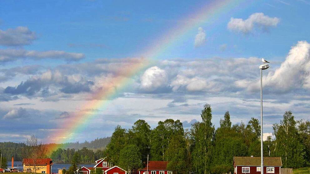 Bildresultat för regnbågen