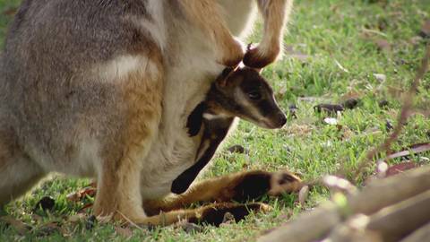 Gift vid första ögonkastet säsong 3