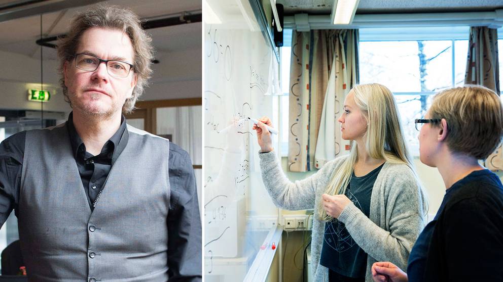 Hur Får Man Syskon Att Sluta Bråka