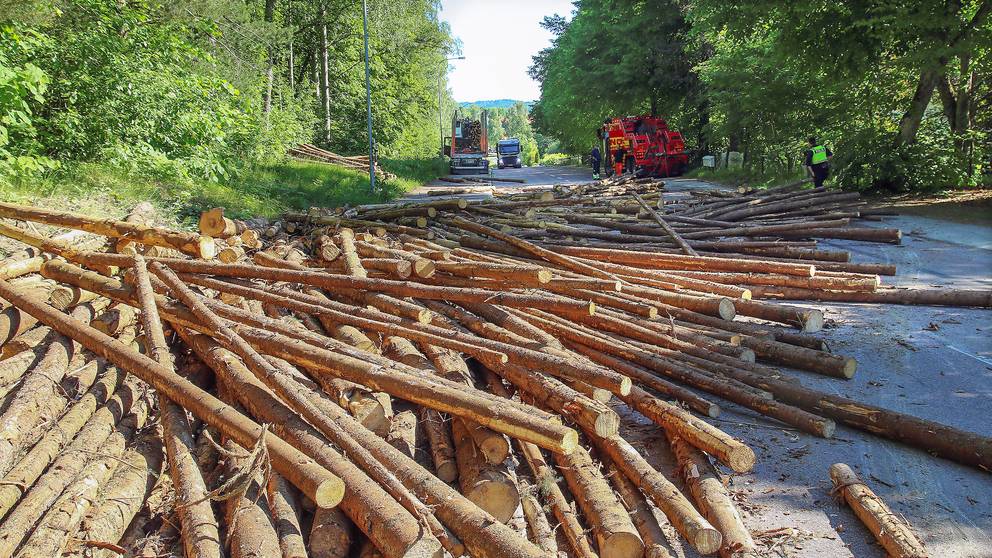Bildresultat för timmer på vägen
