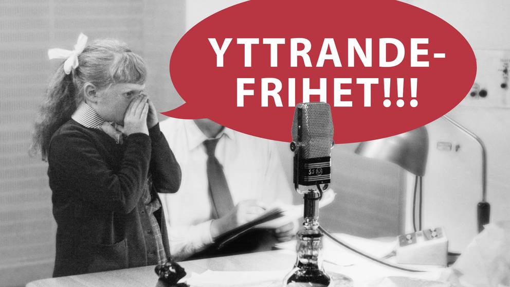 Fem fakta om yttrandefrihet SVT Nyheter