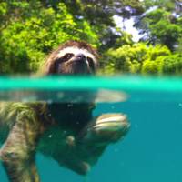 Planet earth sengångare