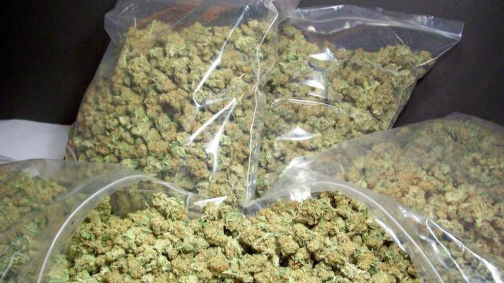 cannabis-jpg