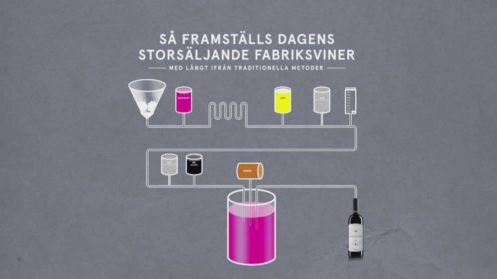 Det visste du inte om vintillverkning | SVT Nyheter