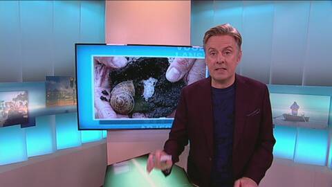 Landet runt | SVT.se