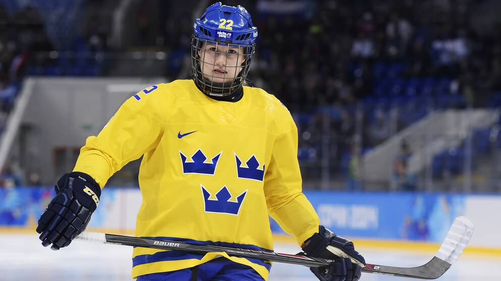 Luleå Hockey: Eliassons hyllningsbild på plats igen i Lombiahallen