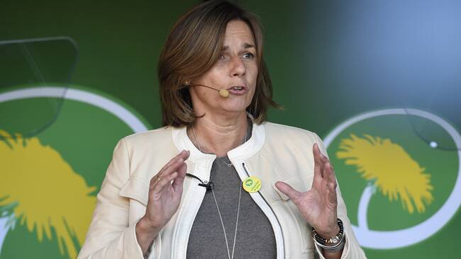 MP:s språkrör Isabella Lövin håller sommartal i Avesta 2016.