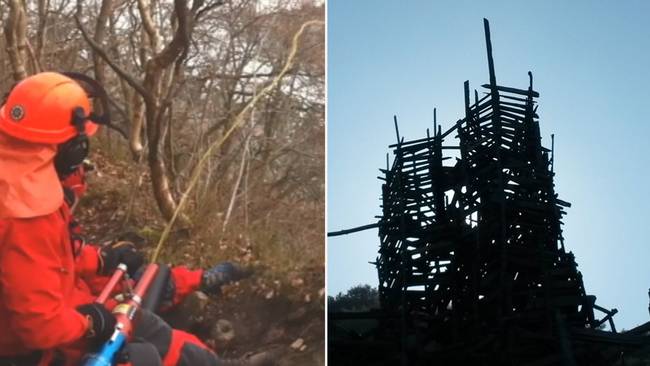 Arborist helsingborg