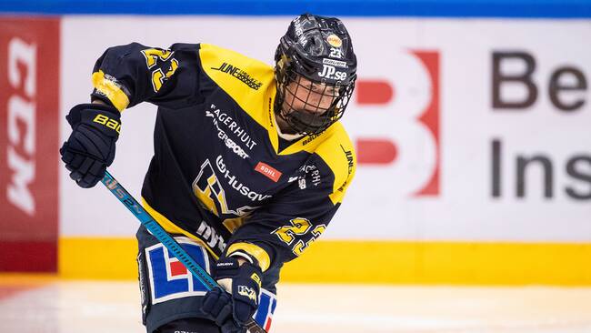 hv71 jersey