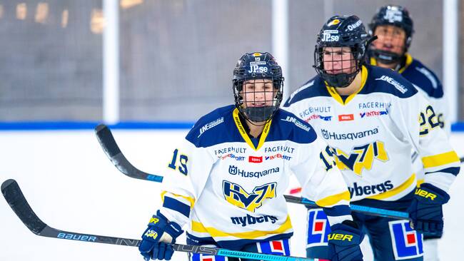 hv71 jersey