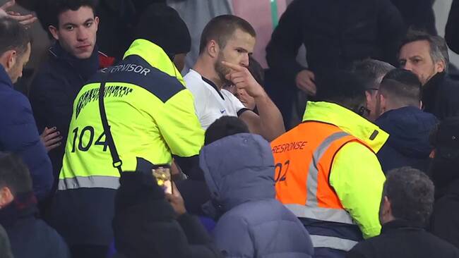 Tottenhamspelare konfronterade supporter på läktaren