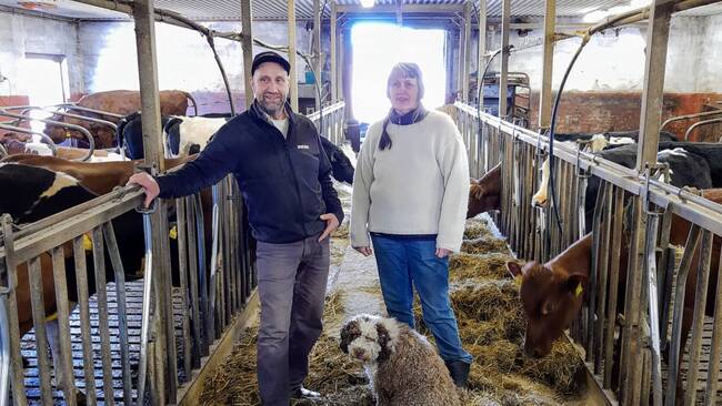 Dairy farmers in Vreta Kloster receive a gold medal - Teller Report