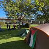 Tältläger på campus vid Karlstads universitet.