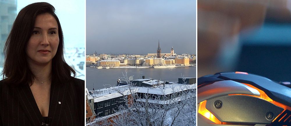 Tredelad bild: Aida Hadzialic (S) / vy över Stockholm / datormus.