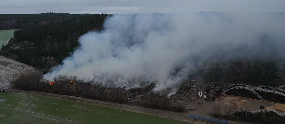 Skogsbrand vid skogskant sprider rök över ett närliggande område.