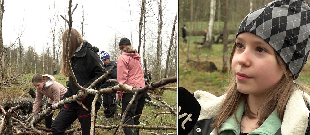 Delad bild. Vänster: barn samlar grenar i skog. Höger: person intervjuas utomhus.