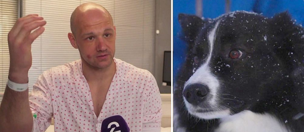 Patrik Jagunić, 39, sitter med patientsärken på och intervjuas på sjukhuset. Till höger hunden Whiskey som var med och undsatte honom.