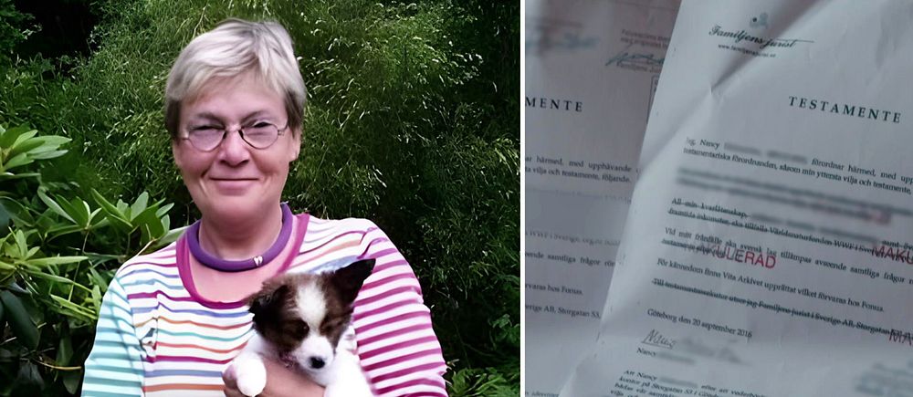 Delad bild. Till vänster: person i randig tröja håller hund. Till höger: dokument med juridisk text.