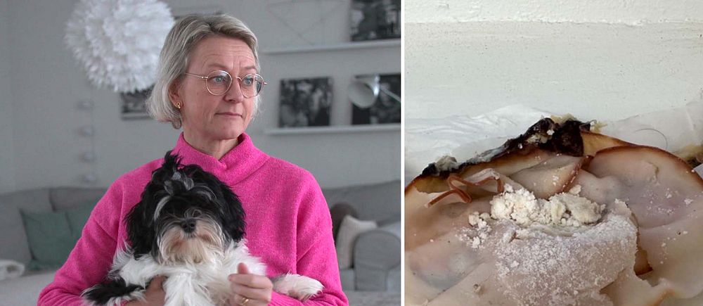 Pernilla Krokström med en hund i knäet. En skinkbit med vitt pulver på