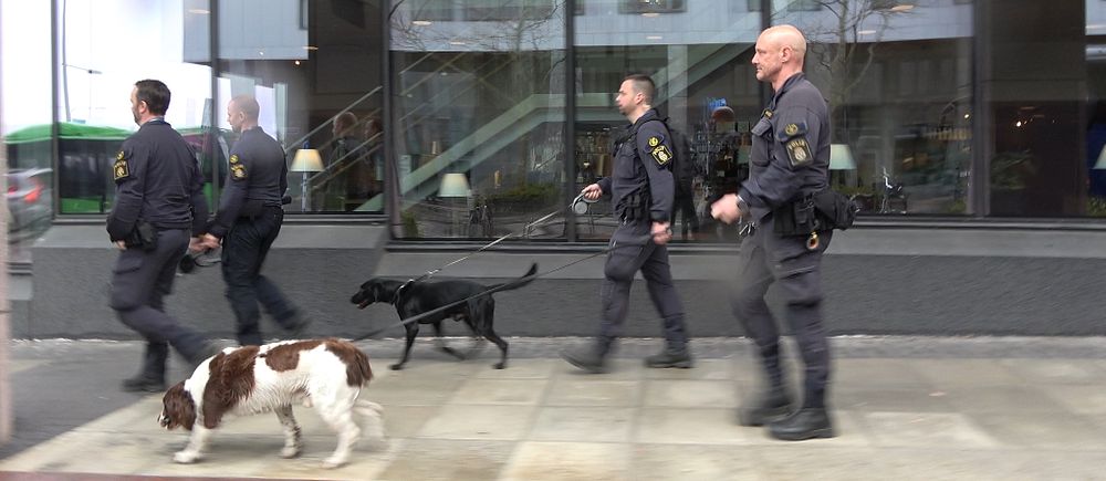 Poliser i Malmö går med hundar för att söka efter bomber runt Malmö Arena inför Eurovision 2024.