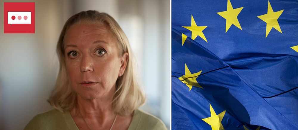 SVT:s inrikespolitiska kommentator Elisabeth Marmorstein går igenom de viktigaste händelserna under dagens partiledardebatt inför EU-valet.
